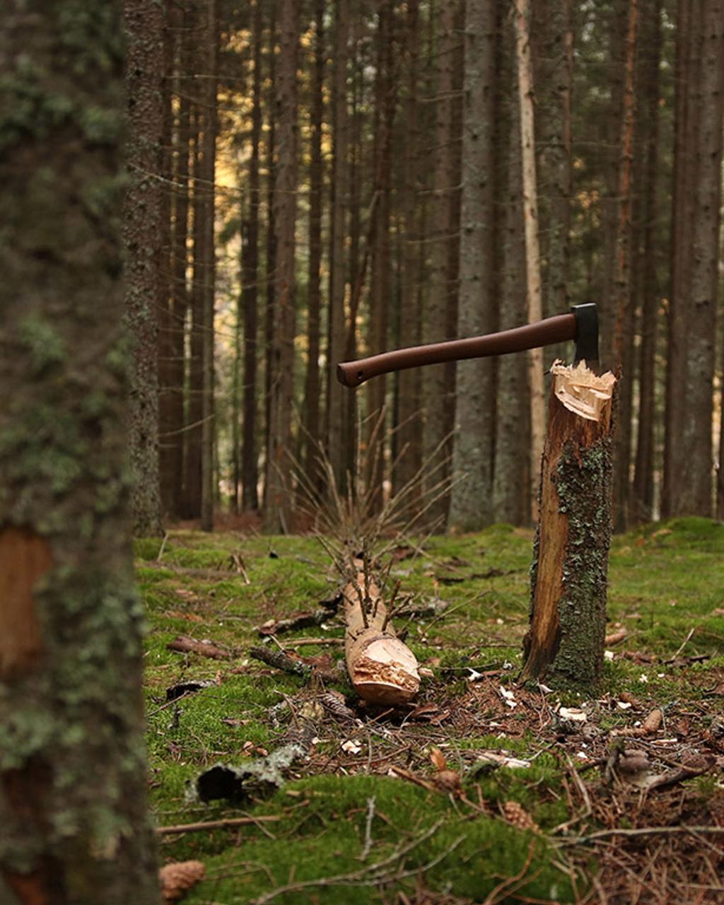 Forest axe